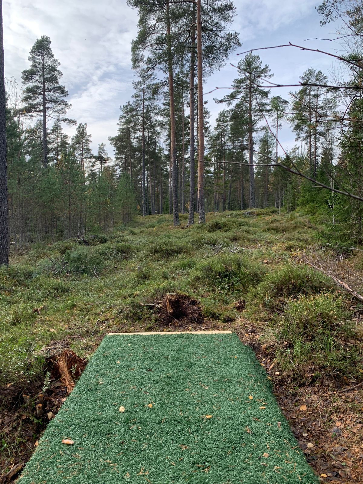 Hål 4