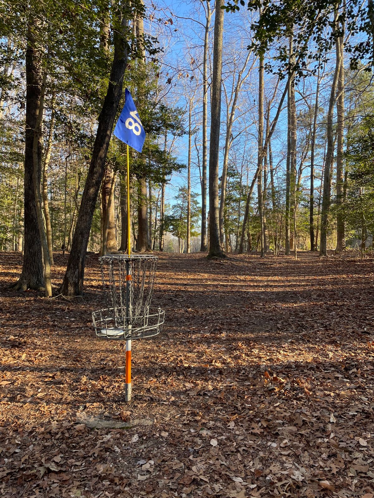 Basket 18 looking back at fairway