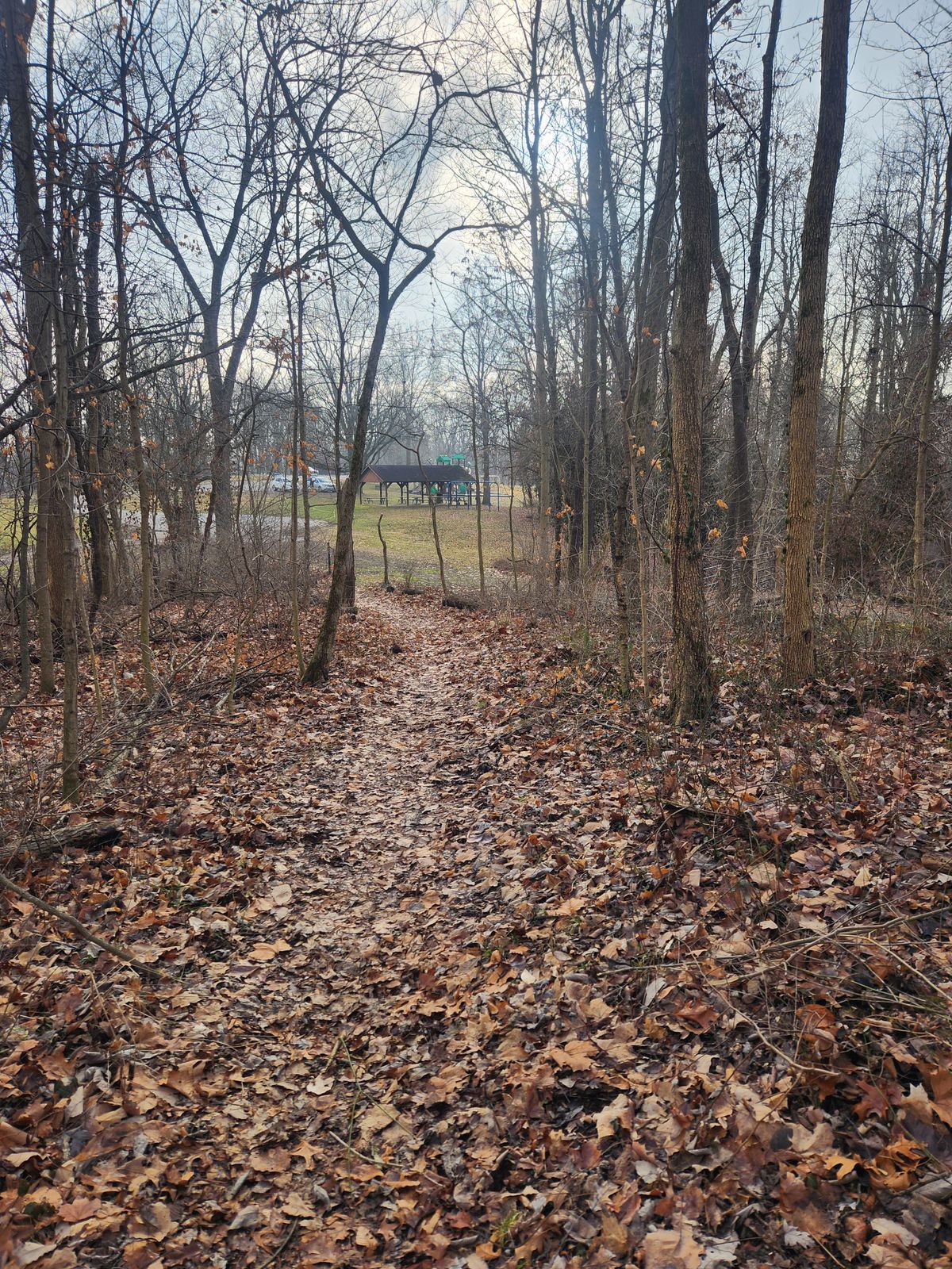 Hole 7 - down gap past trees and to the right.