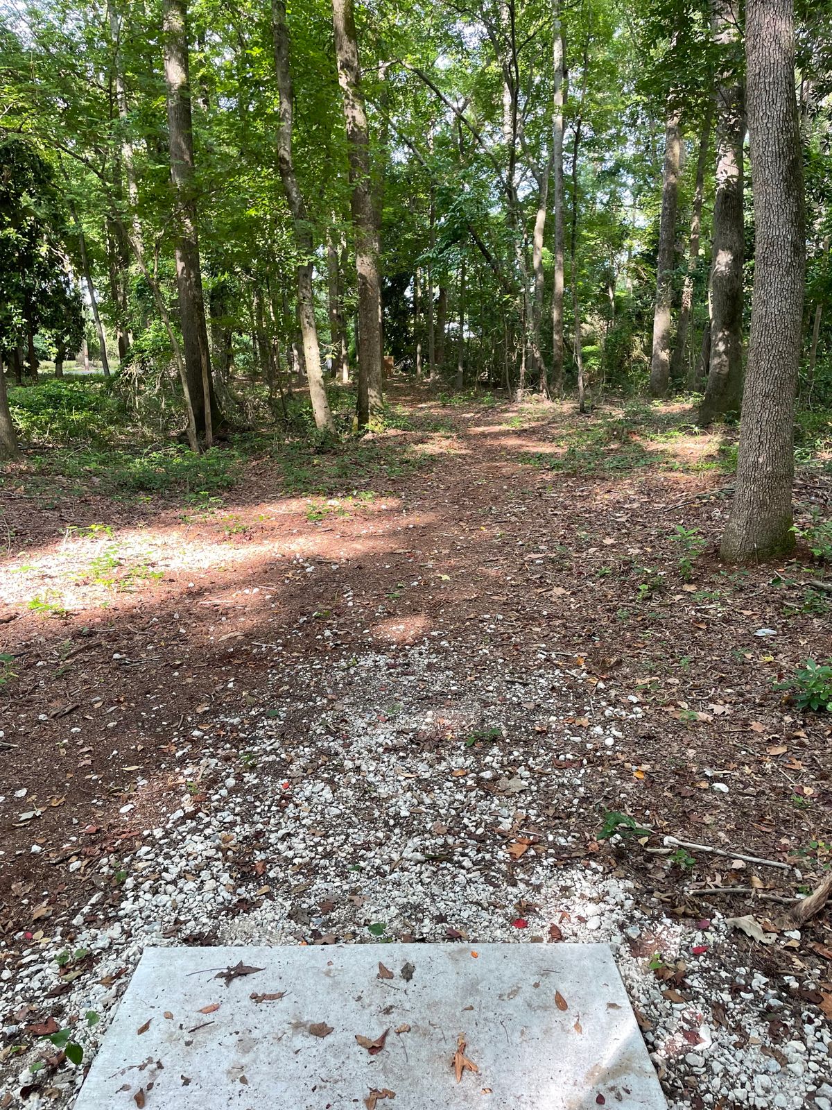 Hole #3 From the Tee Pad