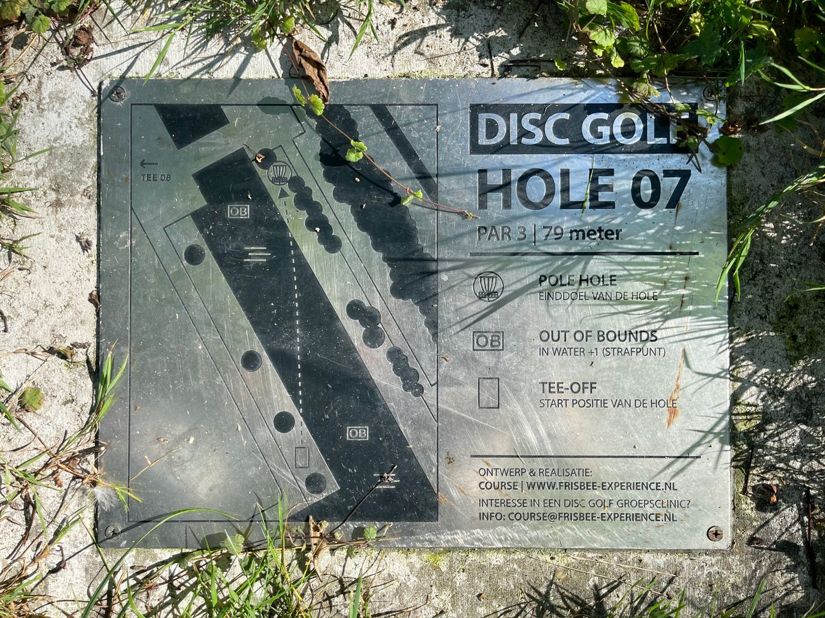 Tee #7