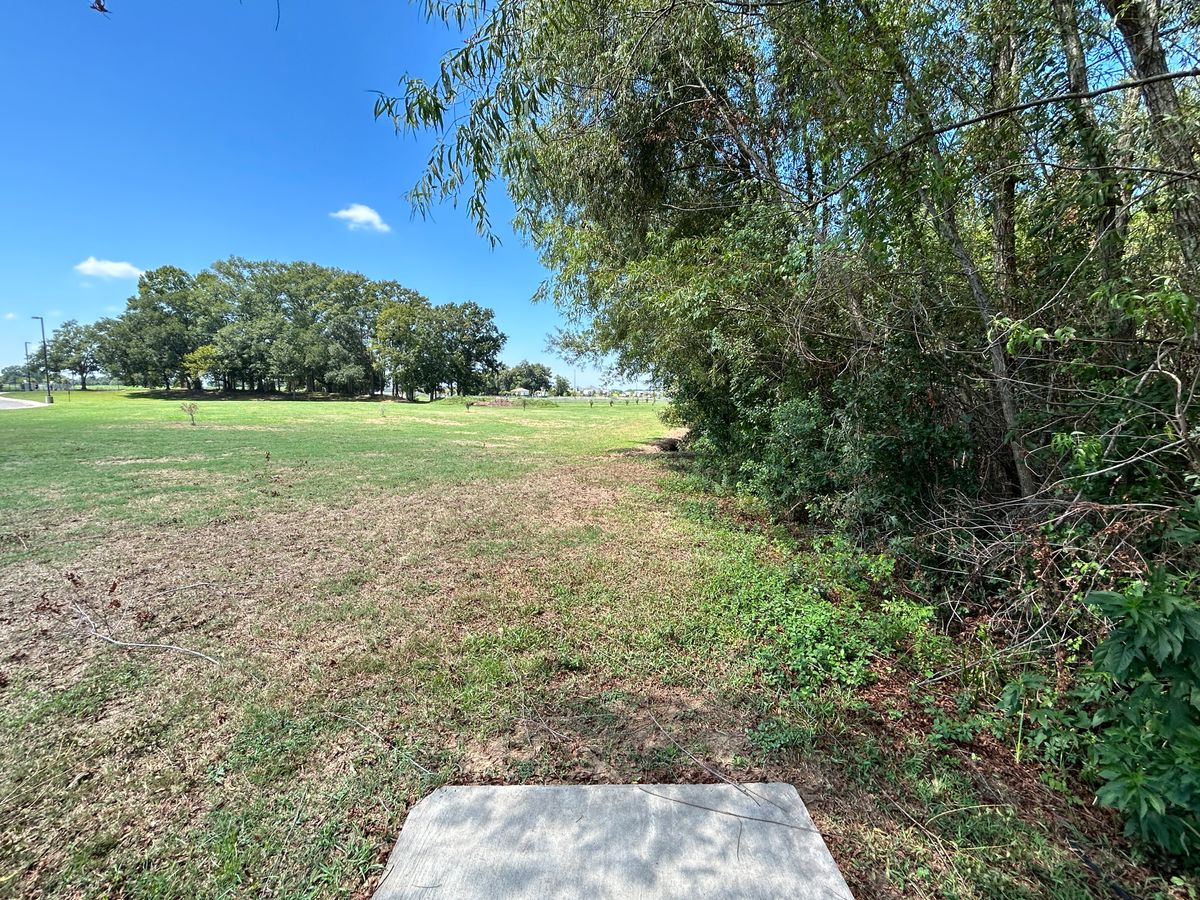 Hole 13 Fairway (White)