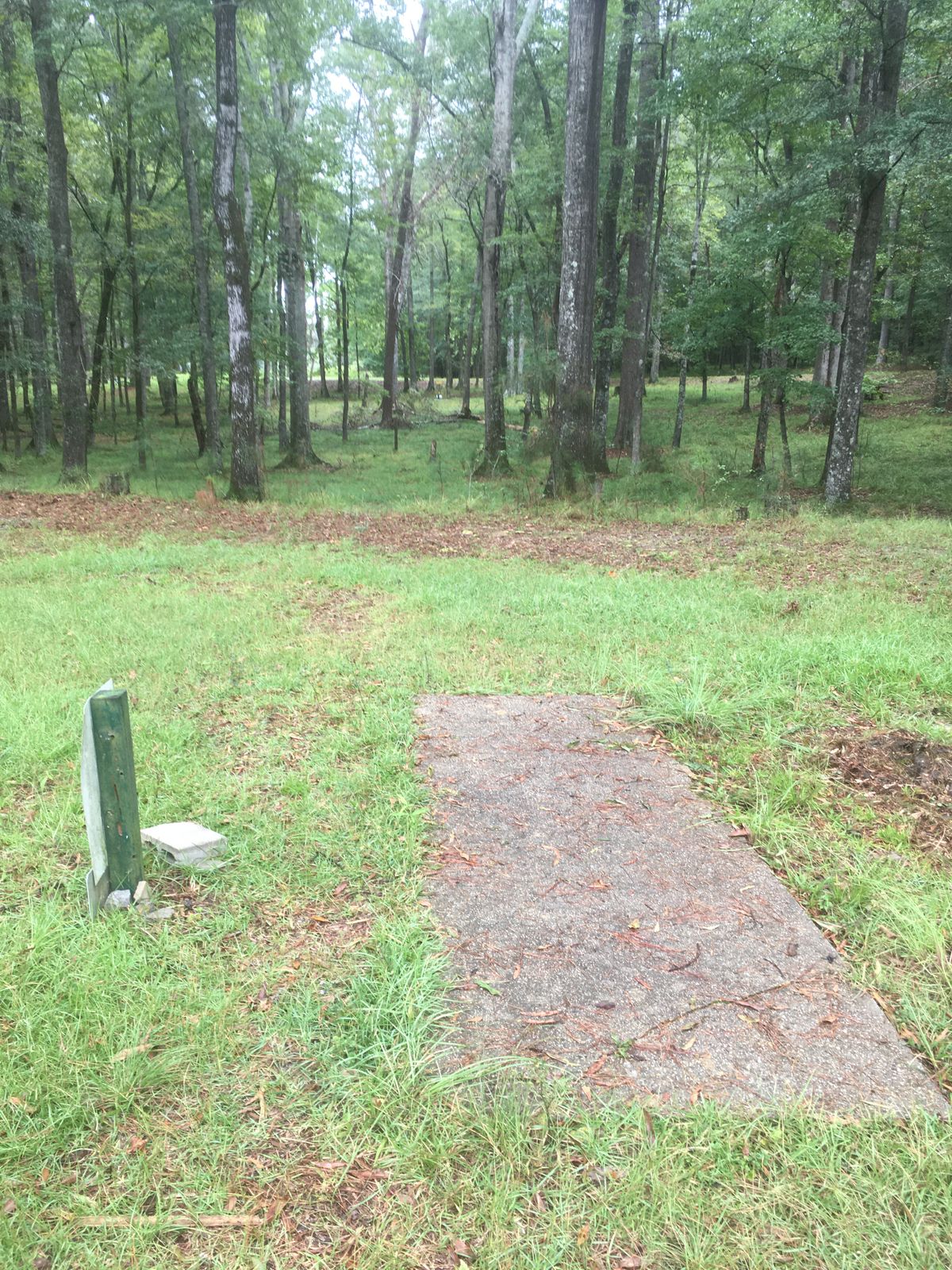 #7 path has been cleared a little. Limbs on the ground.