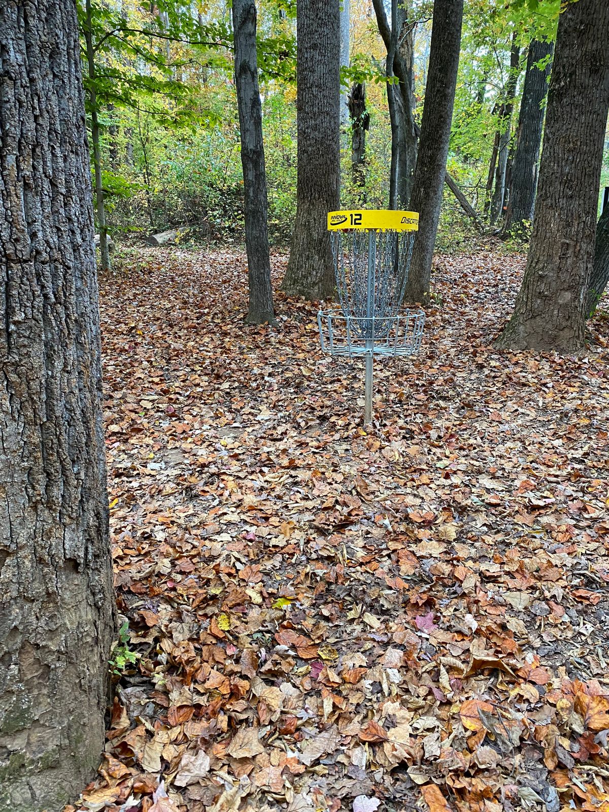 Hole 12 basket