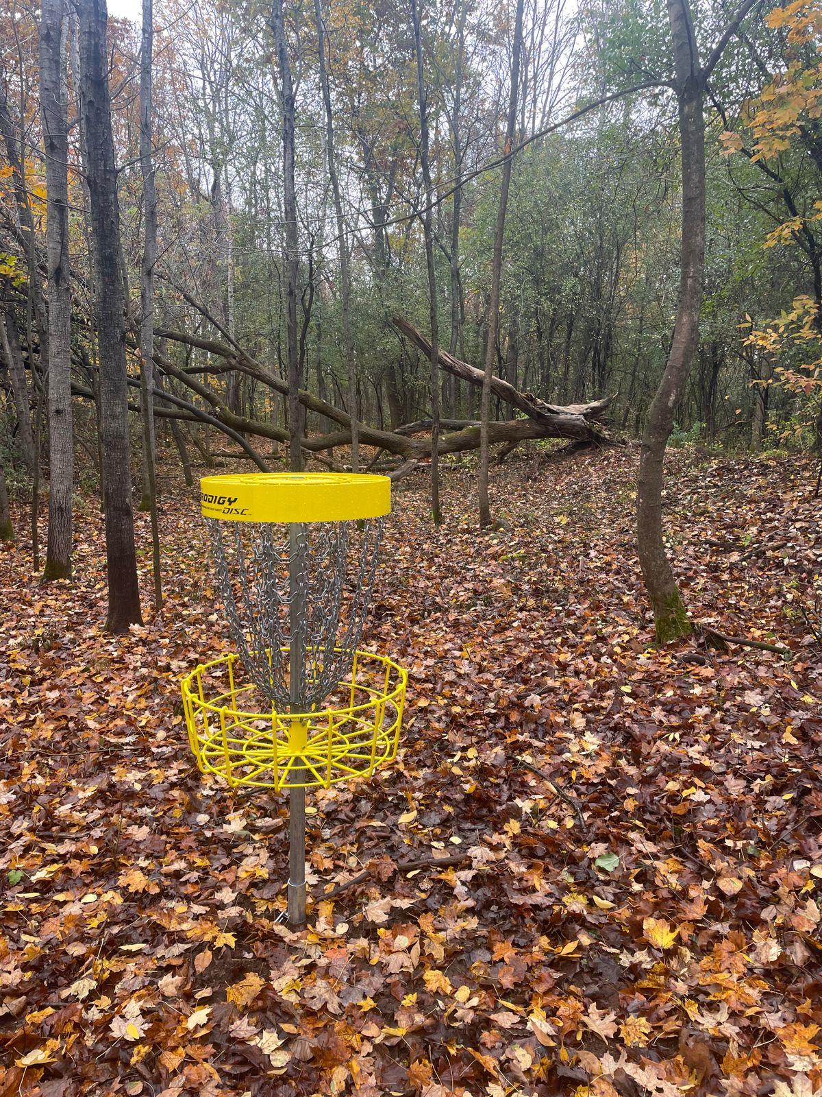 Hole 6. From basket view