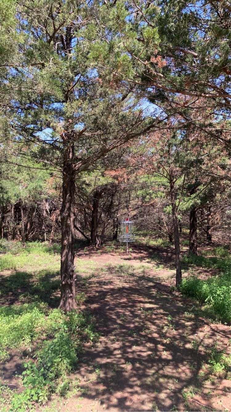 Hole 10 Basket