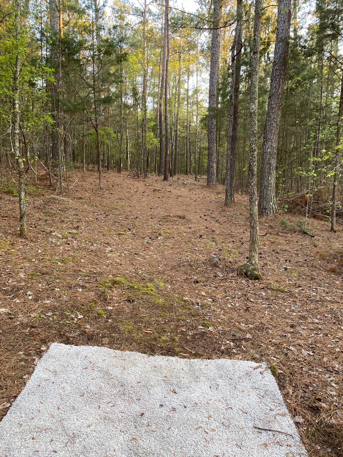 Hole 13