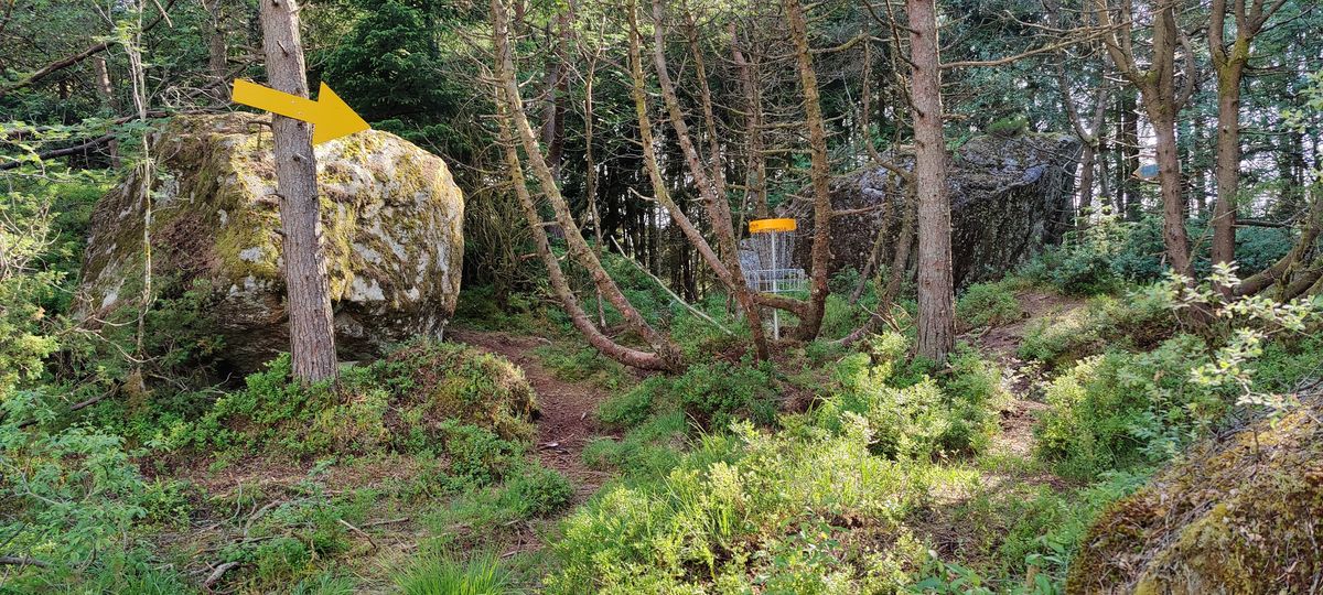 Basket hole 7