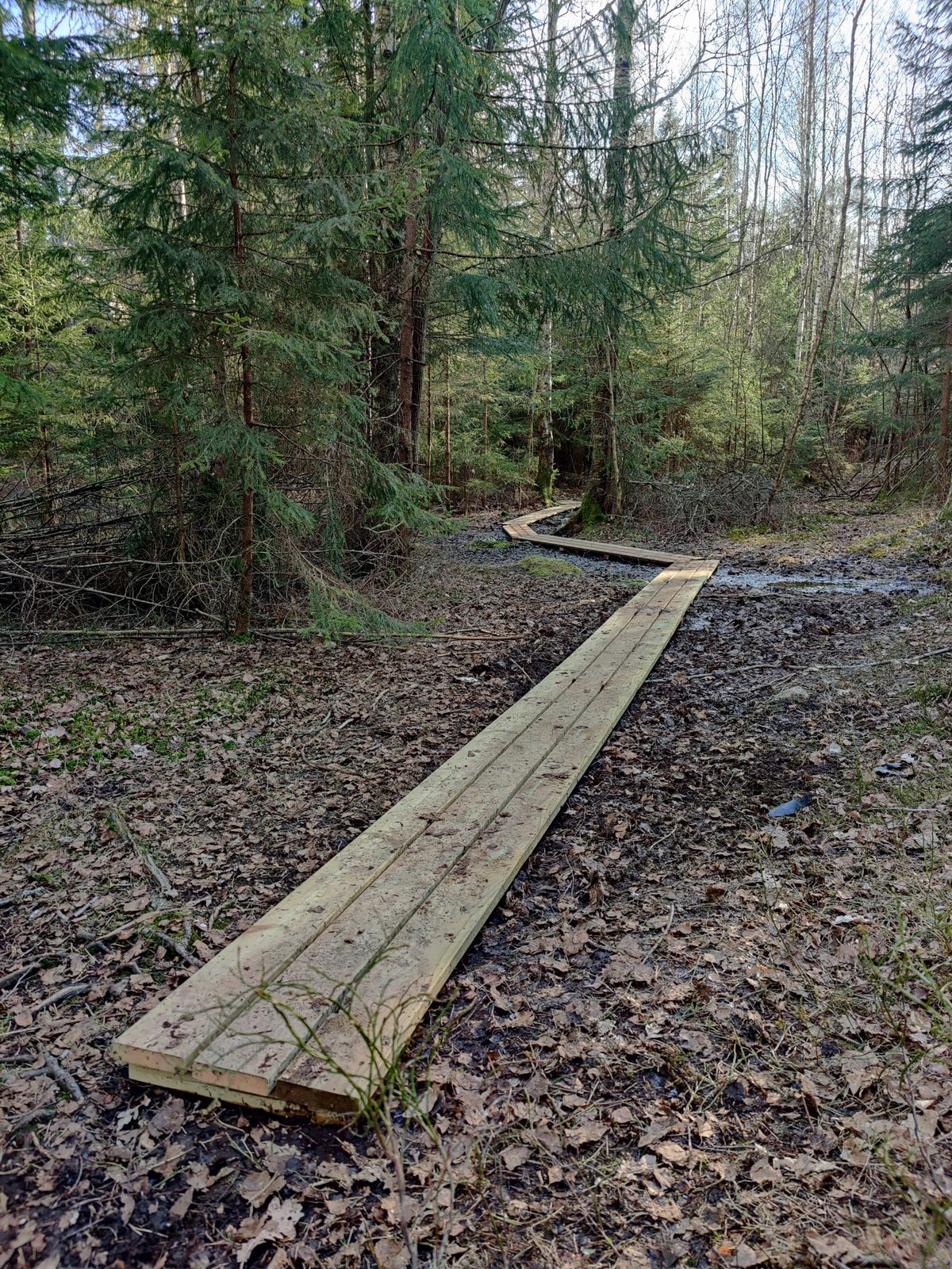 Spångar mellan hål 1 och hål 2 för att slippa vattenpölarna