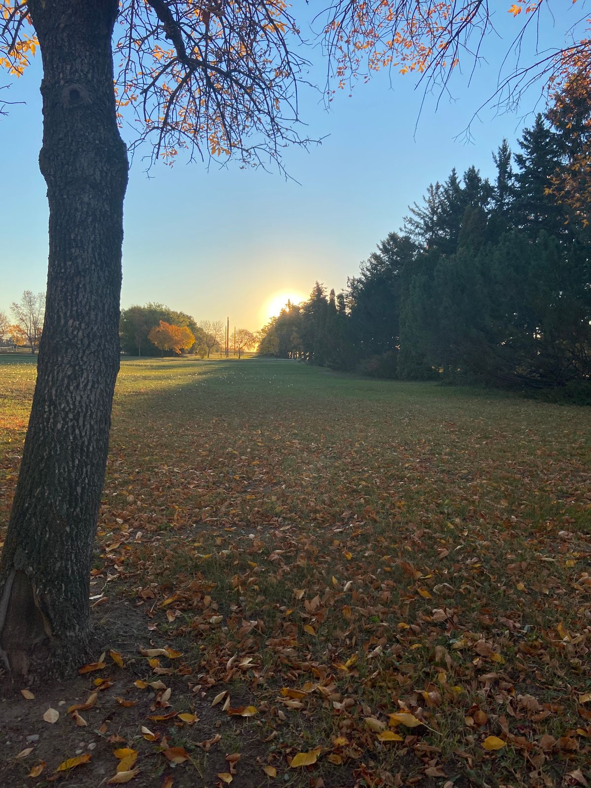 Hole #2, basket is in line with the tree line on the right.
