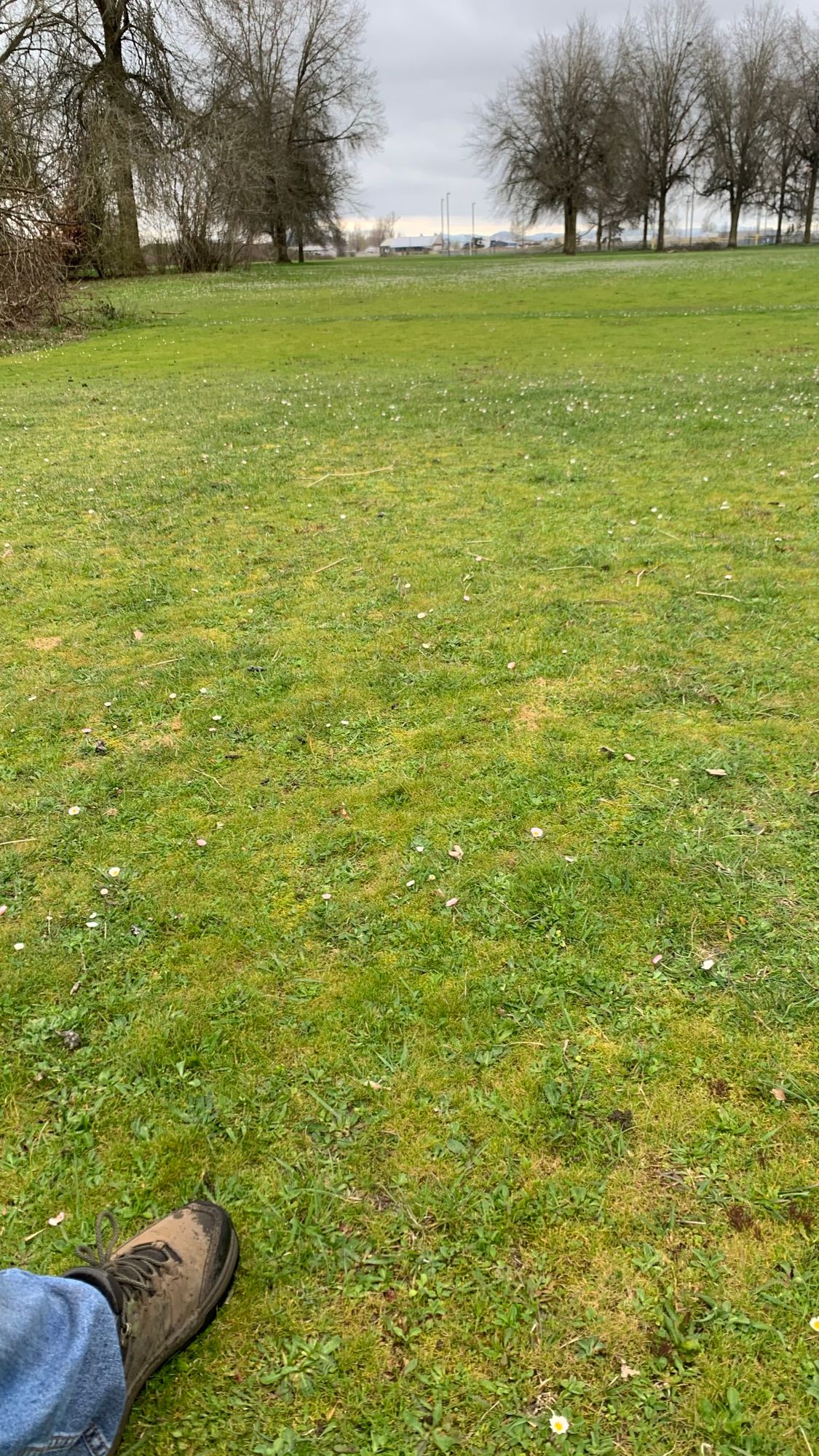 First Tee pad ... uh foot !