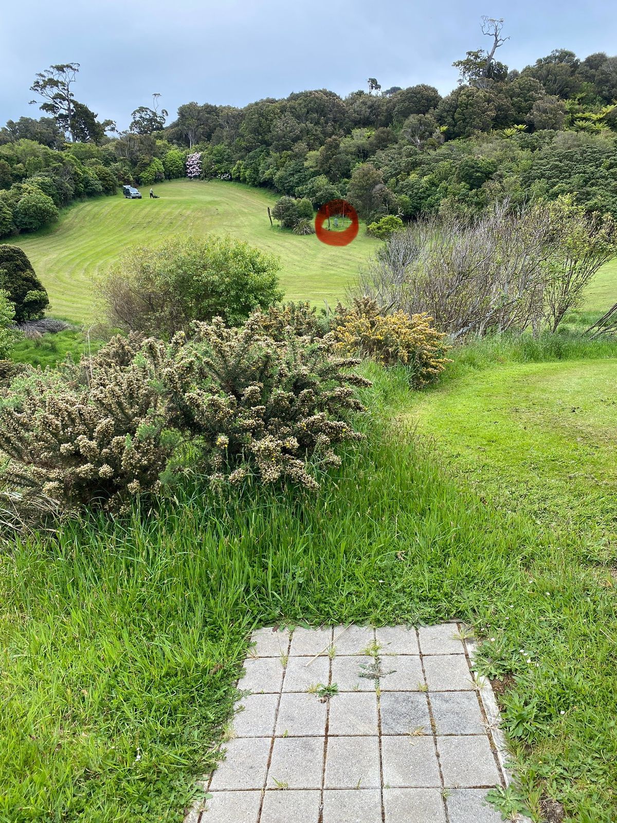 Tee pad of hole 1. Basket circled in red.