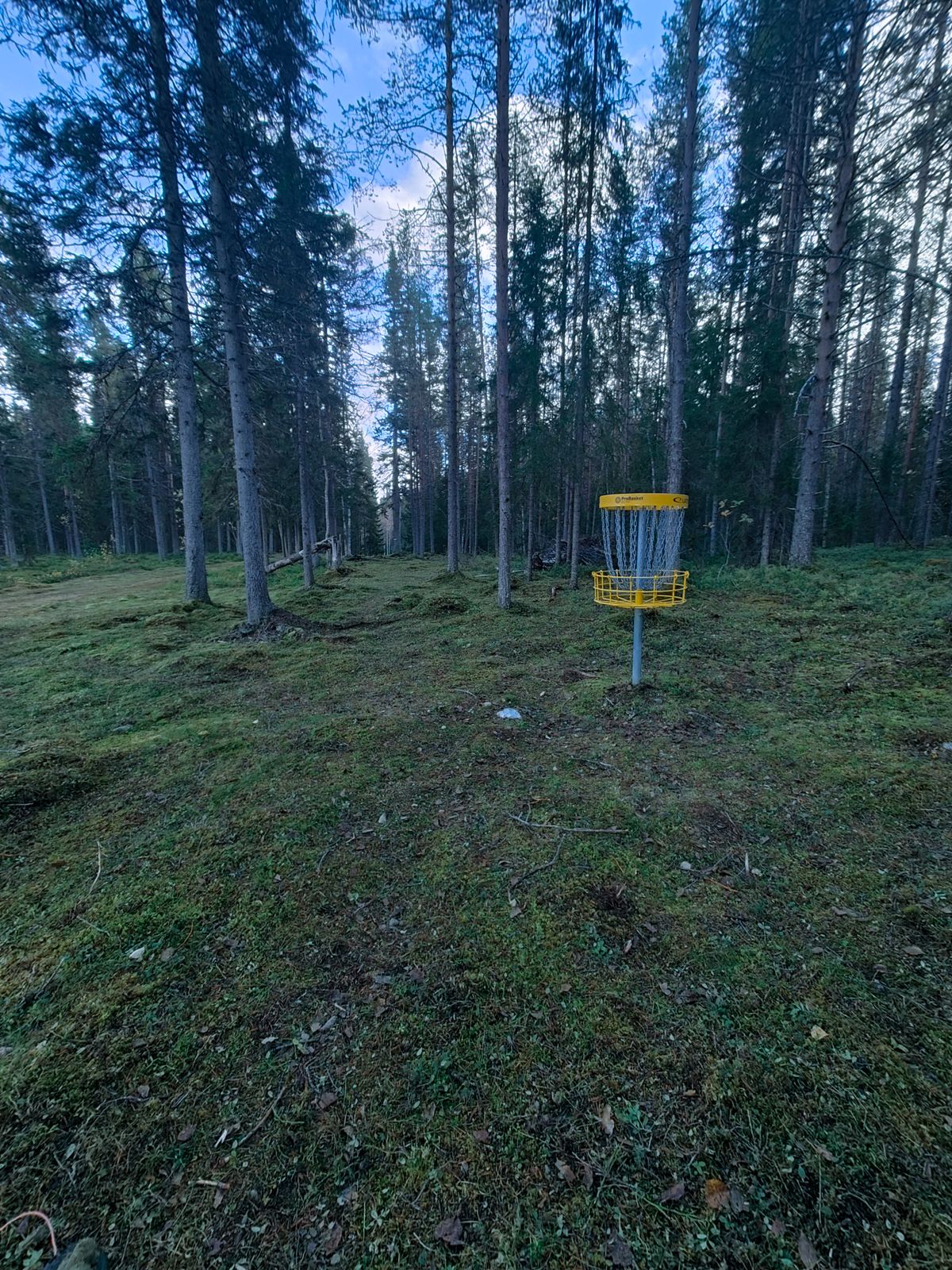 Green hål 3