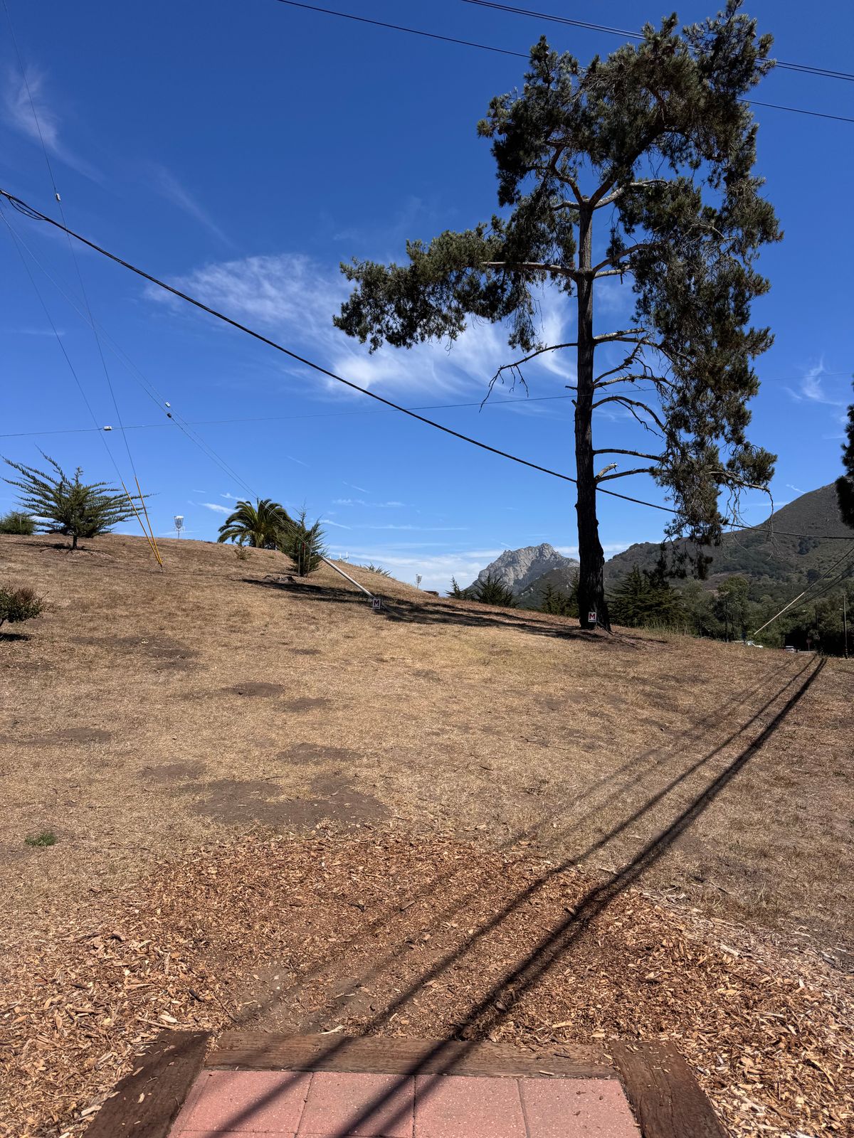 Hole 1 (8/4/25)