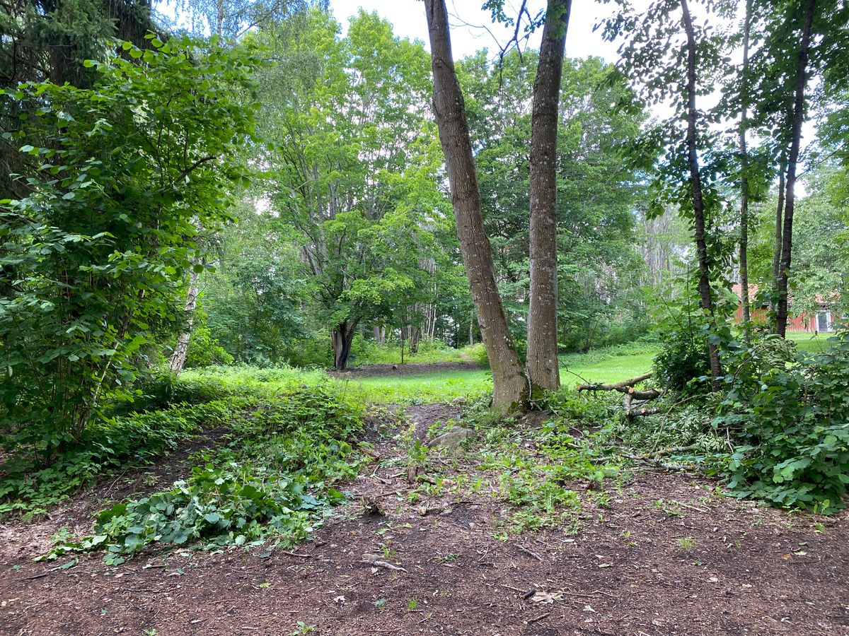 Hole #6