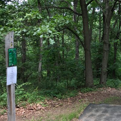 Hole 16