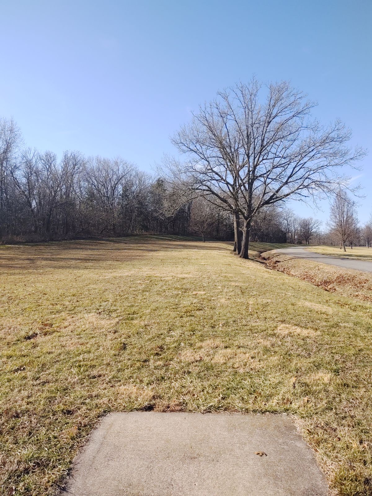Hole 13 tee