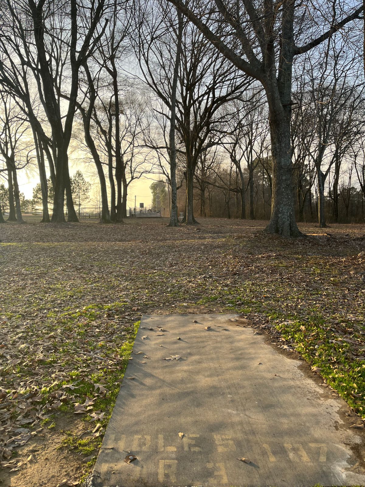 Hole 5