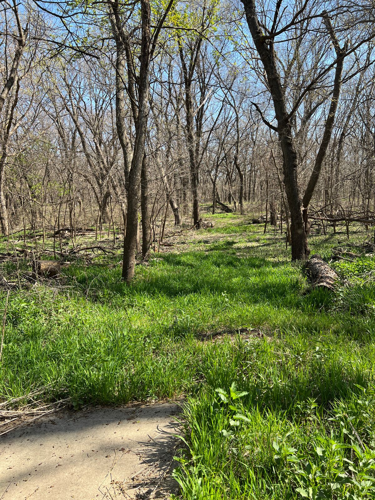 Hole 13