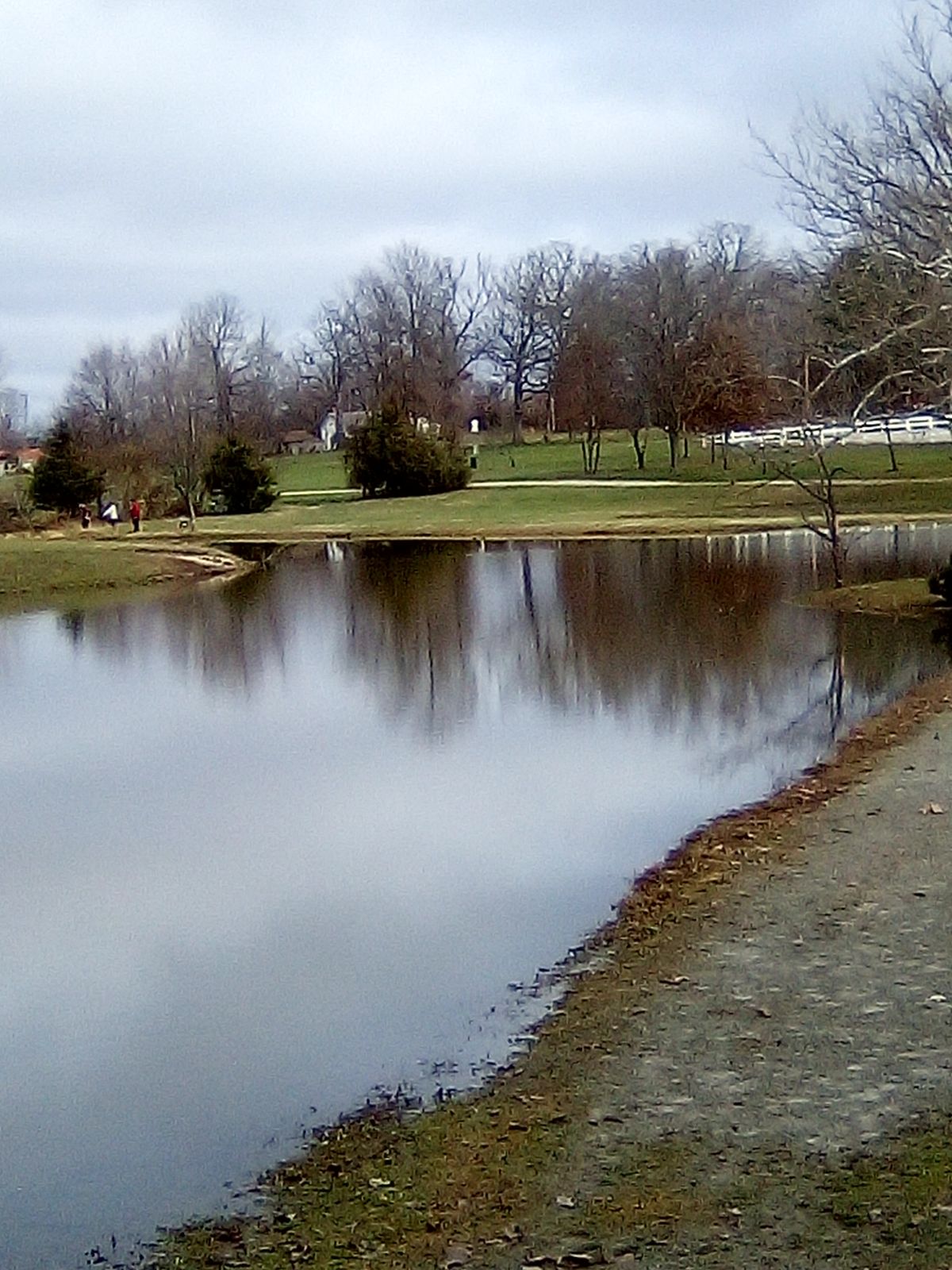 Hole 15 and Island not in play.
