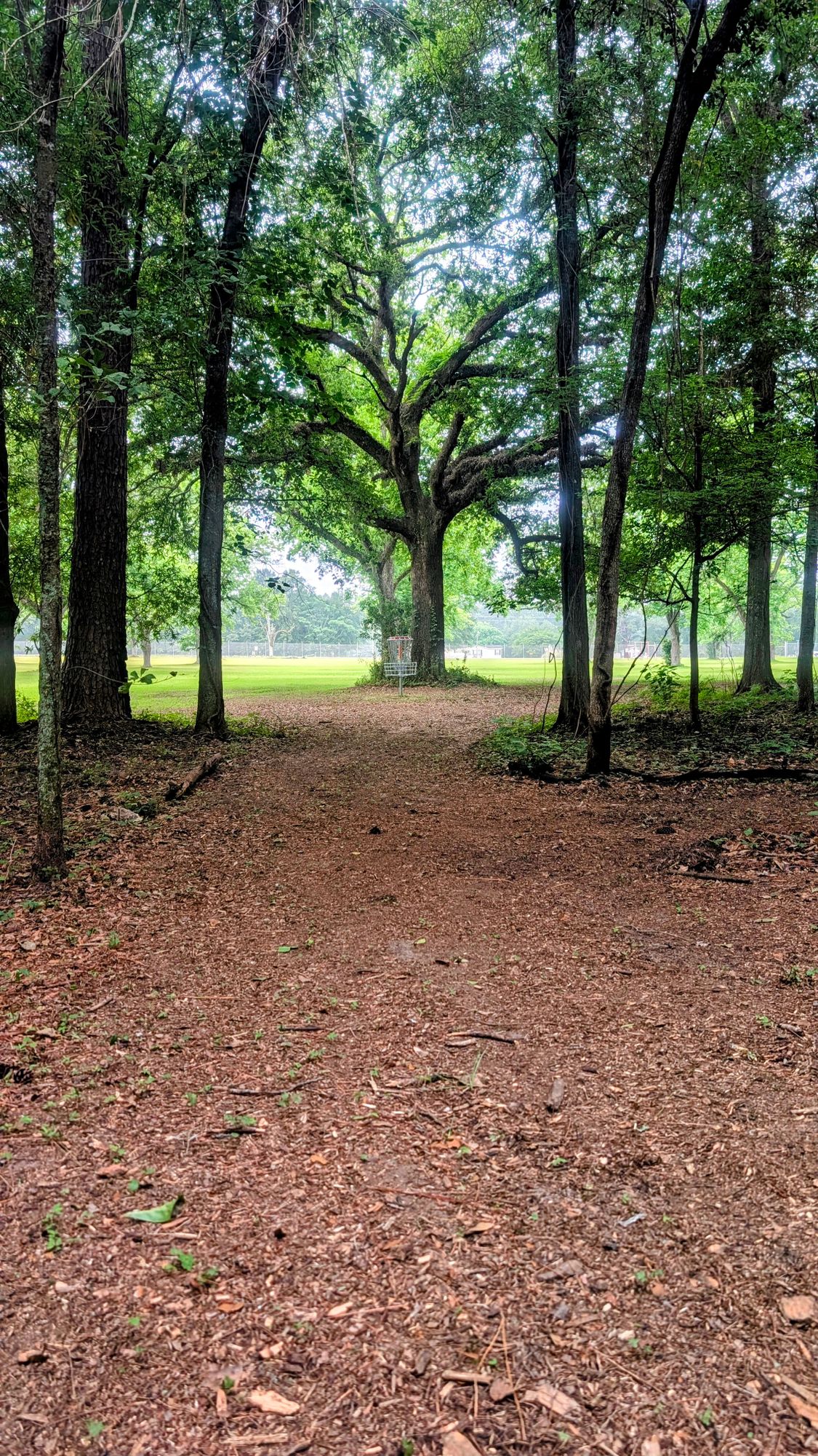 17 Red Basket approach