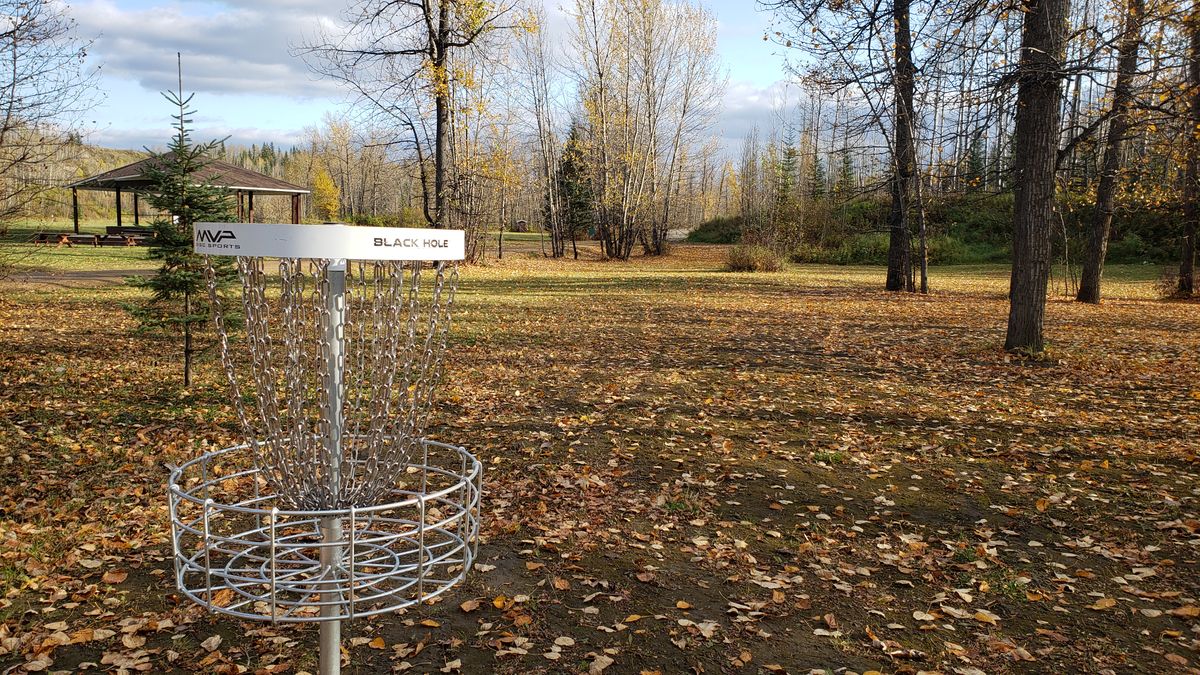 Hole 1 basket,  looking back at teepad.