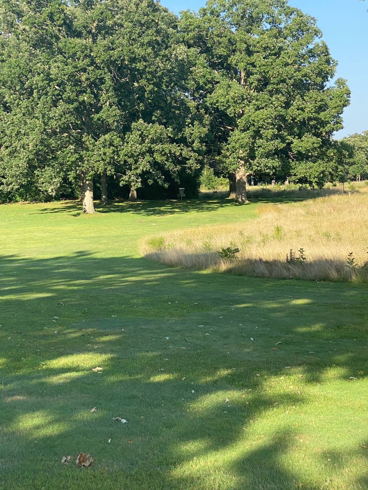 Hole 12 looking at the white basket. The blue basket is in the woods off the left edge of this photo.