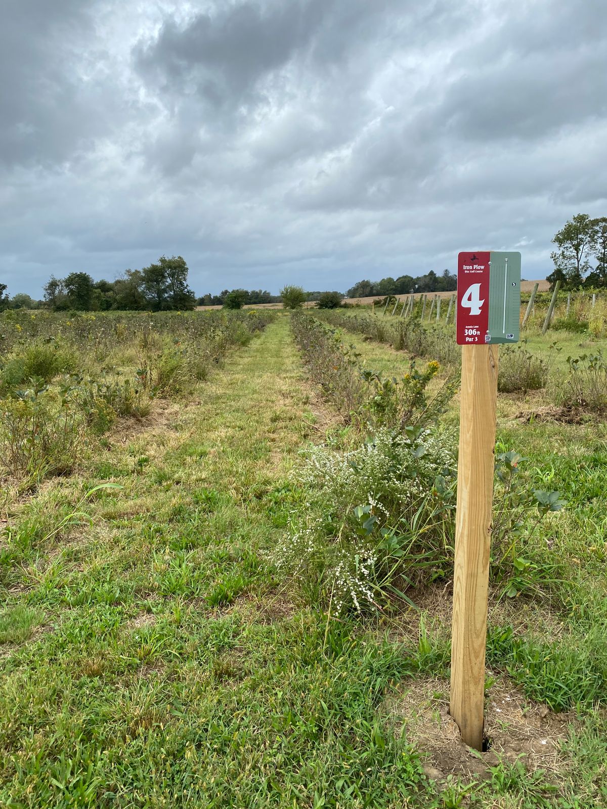 Hole 4