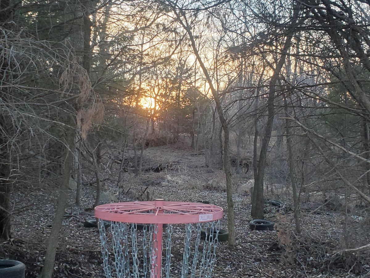 Hole 5 basket looking back at the landing zone