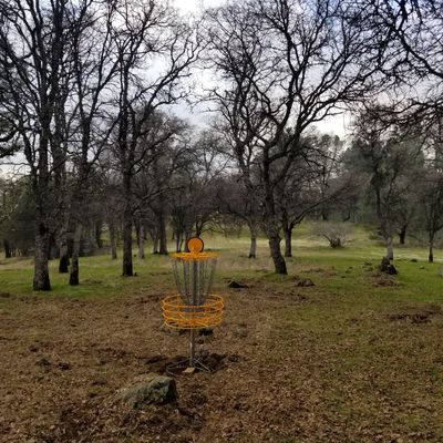 Hole 9 looking back towards the tee