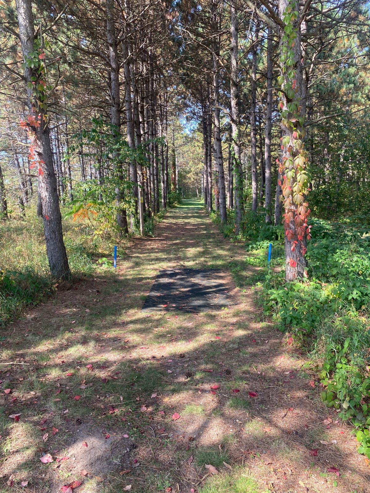 Hole 1