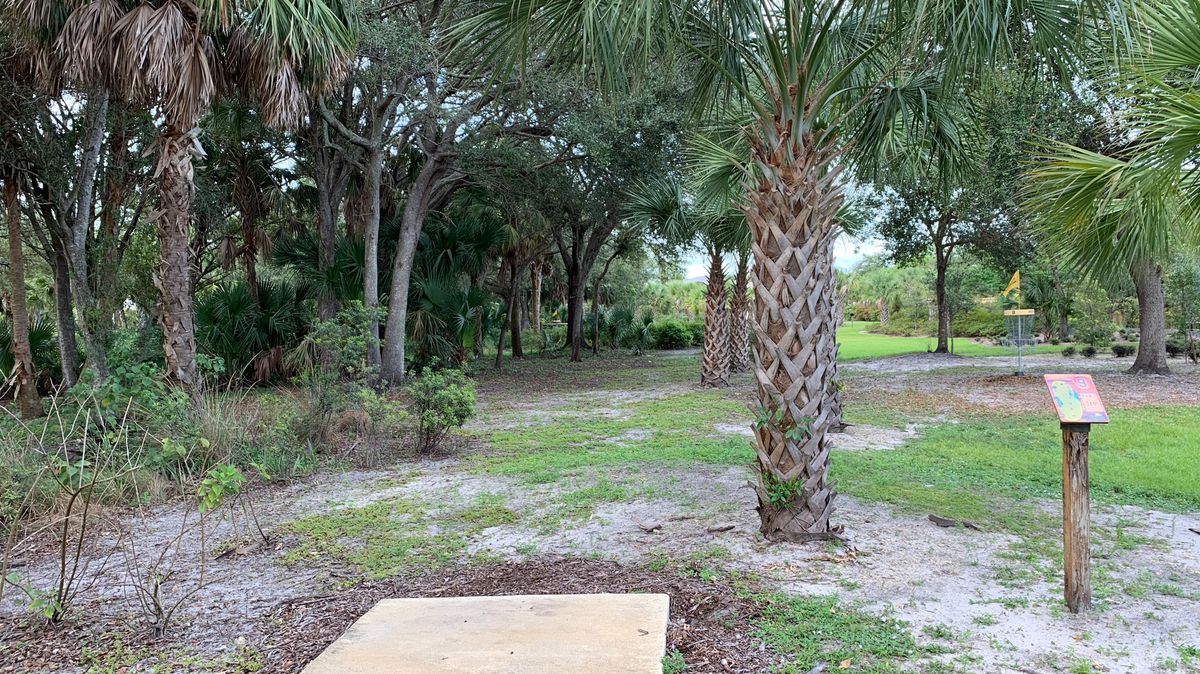 Hole 9