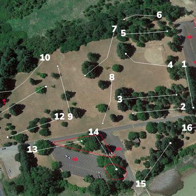 Perkins Peninsula DGC photo 2