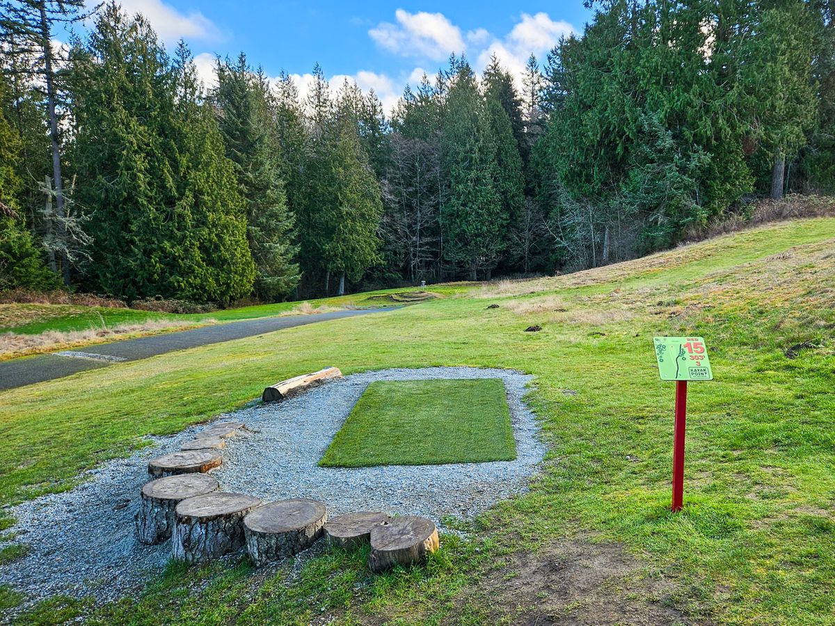 Hole 15 tee pad