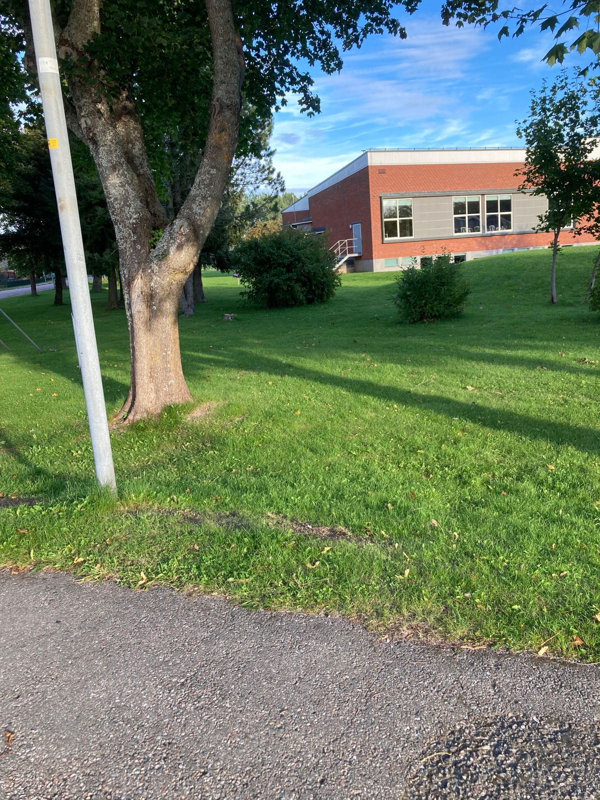 Tee 2