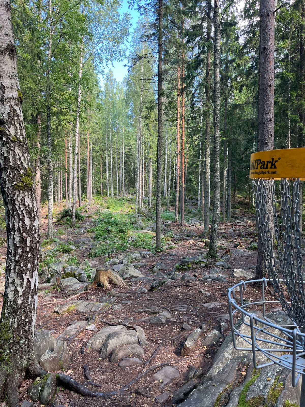 Hole 14, basket to fairway
