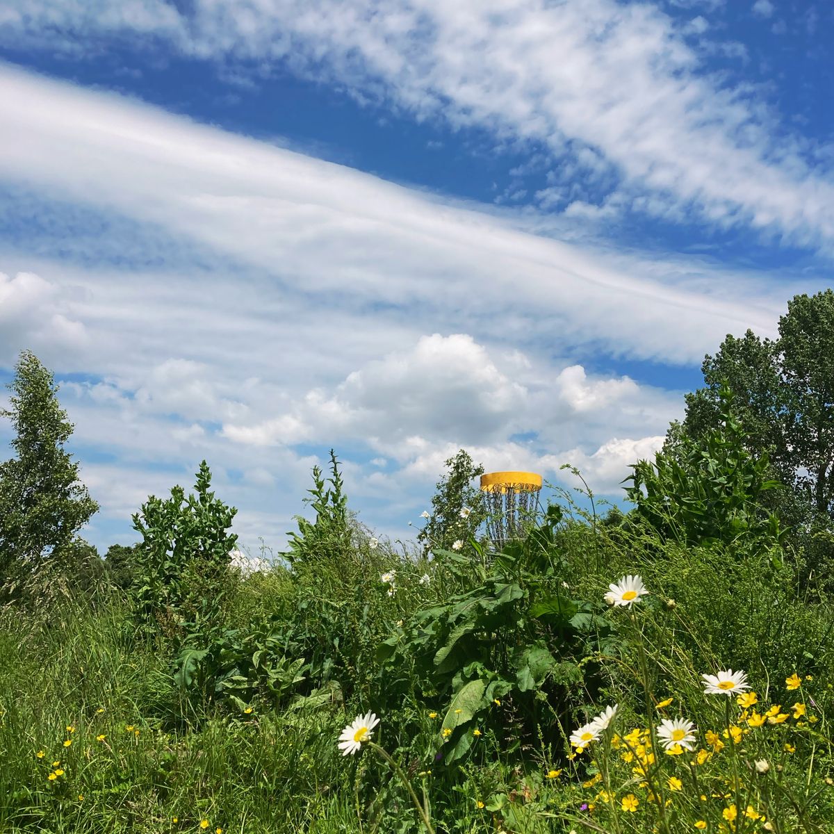 Wildflowers skirt the mound on three.