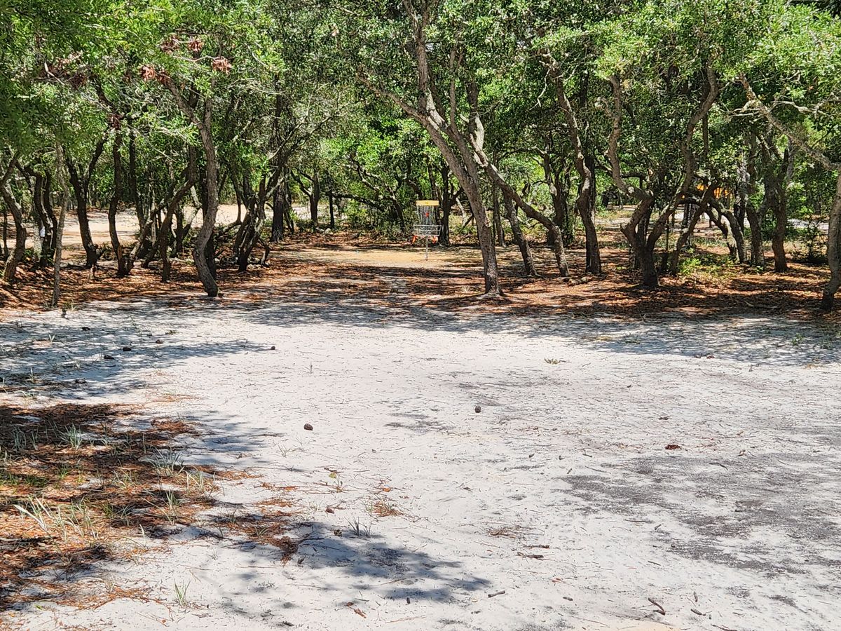 Hole 16 basket