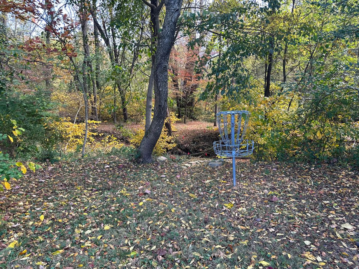 Hole 3 basket in the fall.