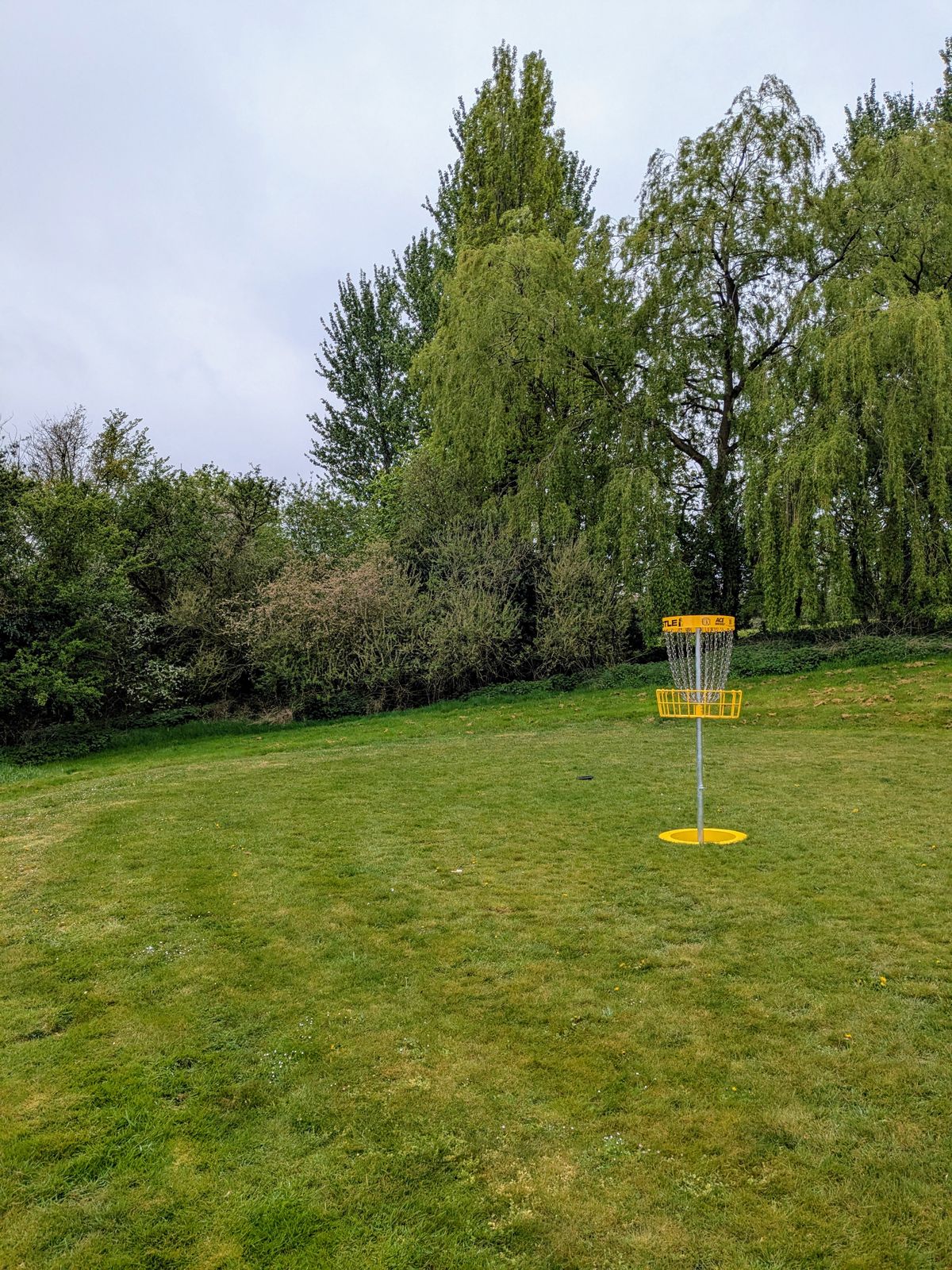 Hole 1 Raised Basket
