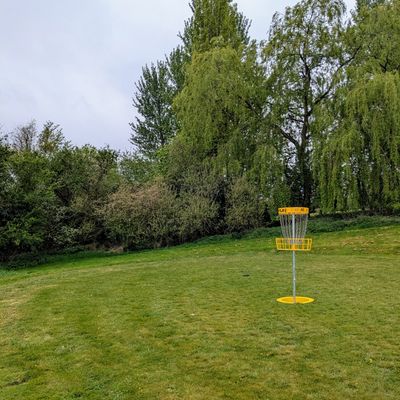 Hole 1 Raised Basket