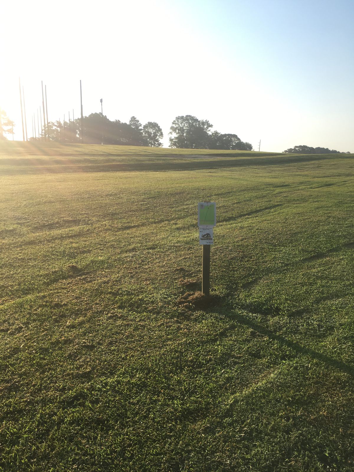 Hole 6 tee