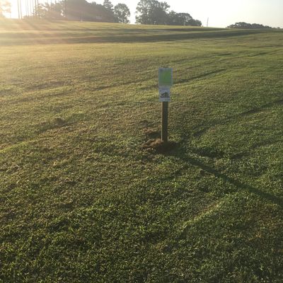 Hole 6 tee