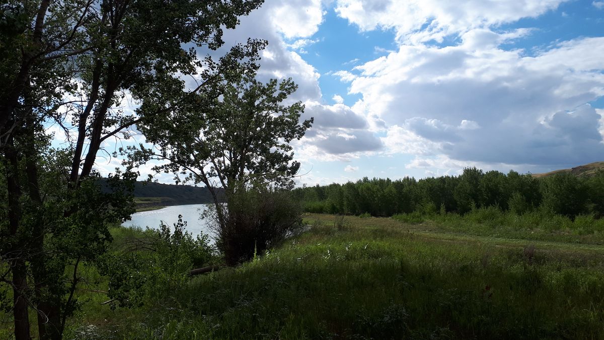 Just beyond course. Old man river.