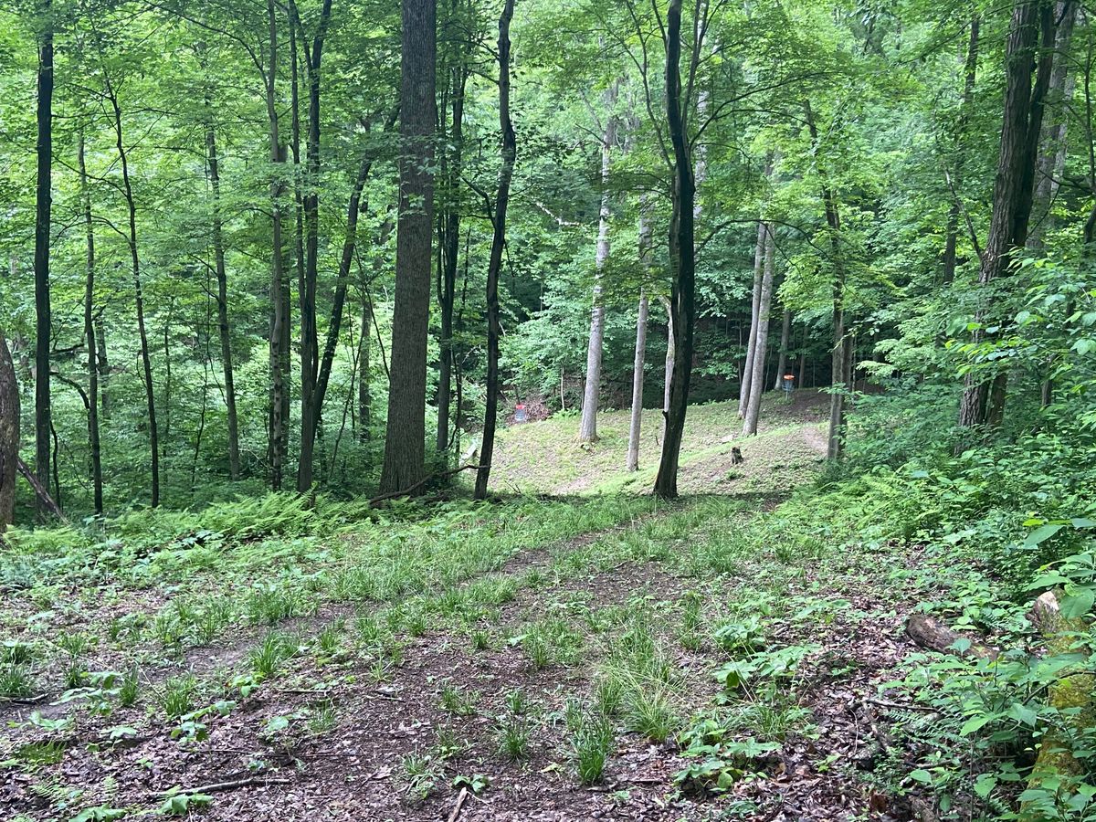 View from the tee pad to basket 11