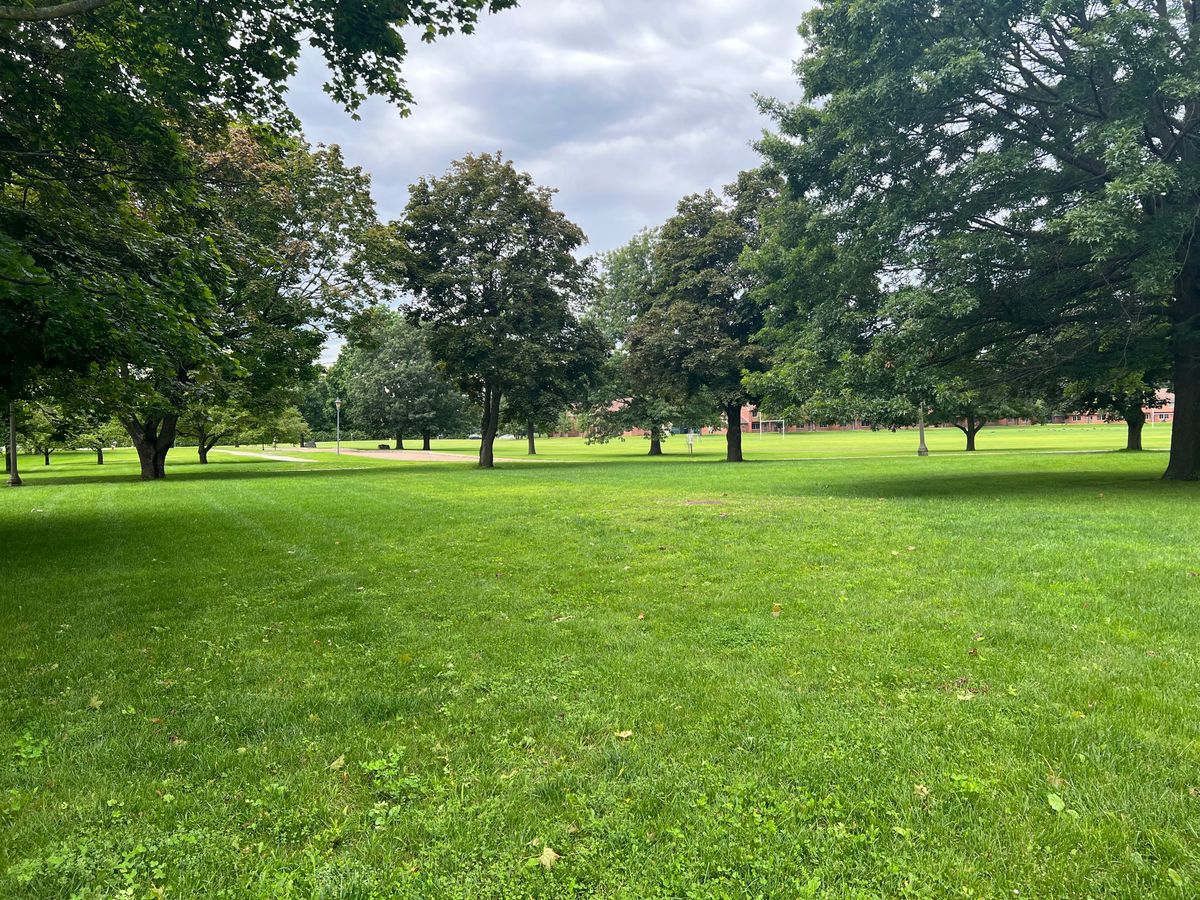 Hole 6 tee pad