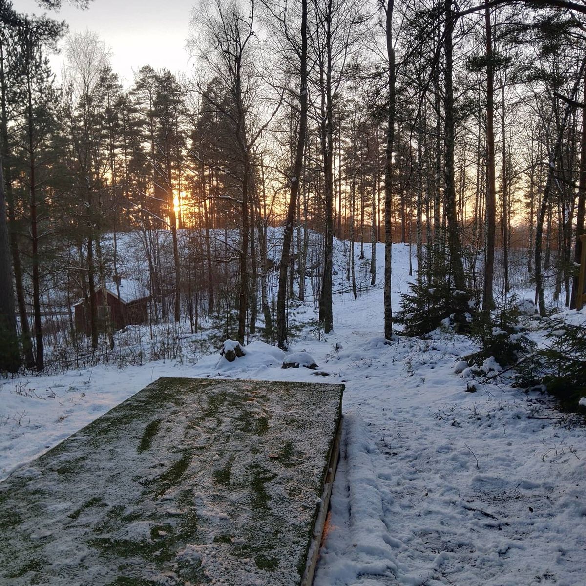 Gul tee hål 8