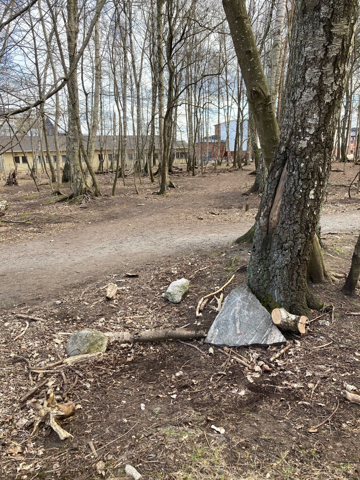 Tee 5 vid trädet och stenen