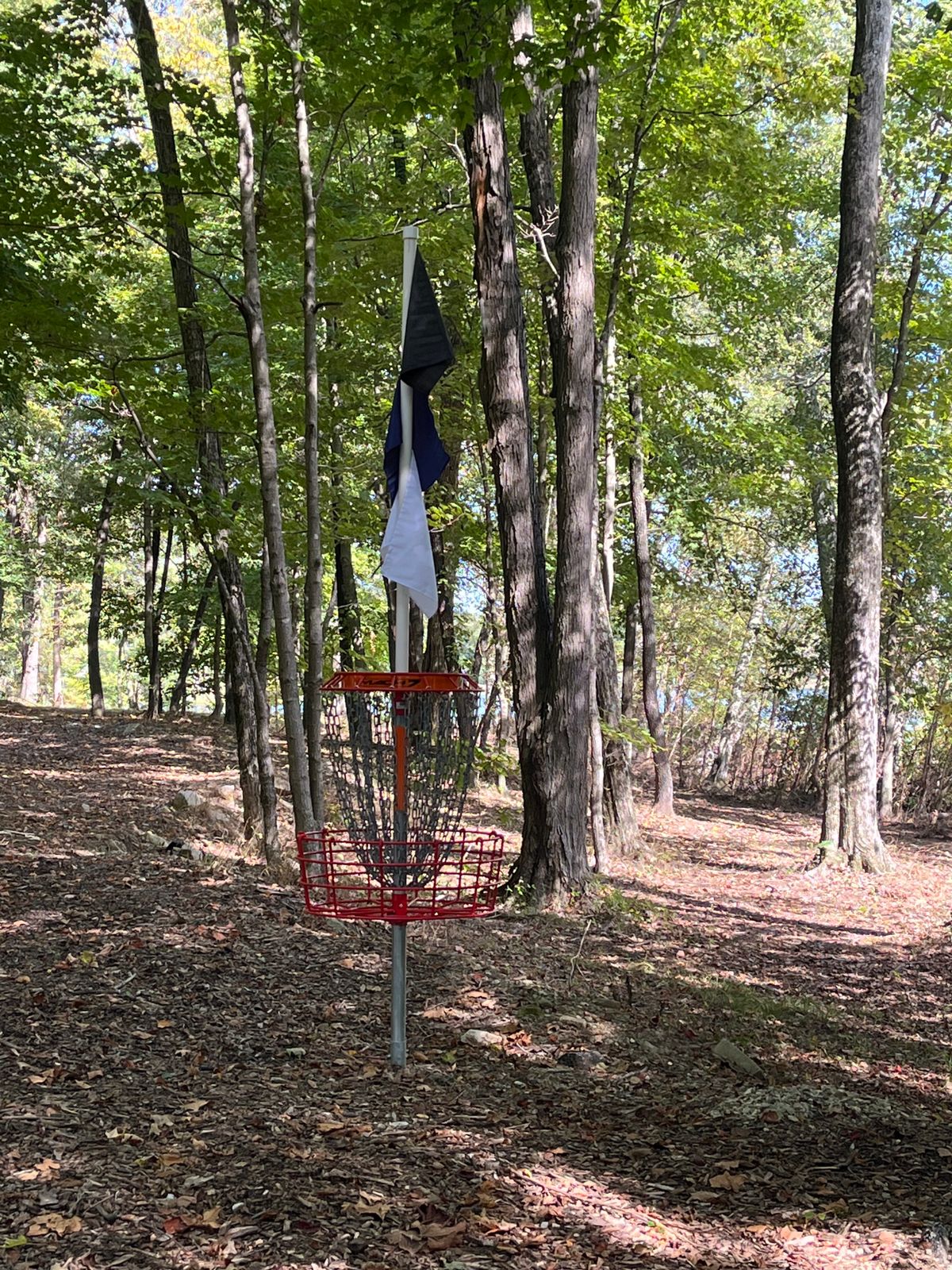 Hole 6