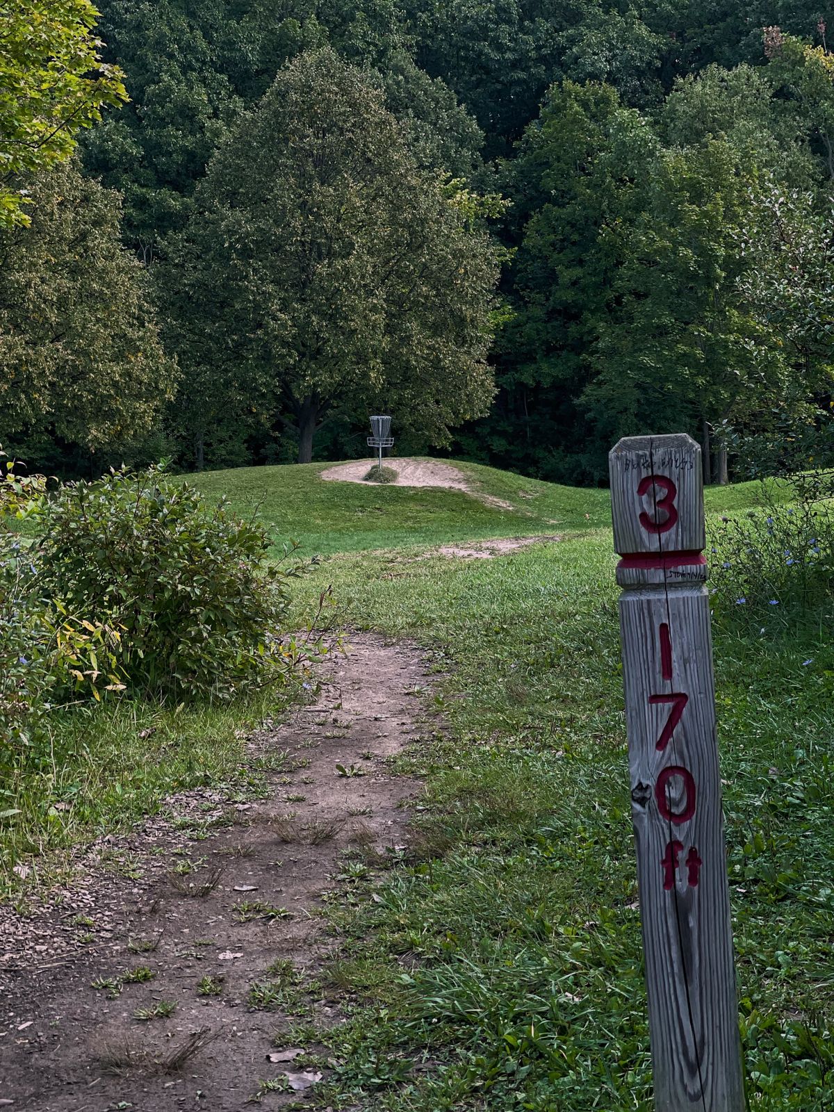 Hole 3 shorts